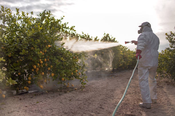 Wildlife Control Services in Georgetown, CO